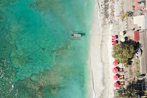 Bird's eye view, Beach