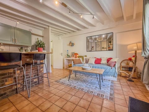 Appartement avec terrasse proche cathédrale Apartment in Chartres