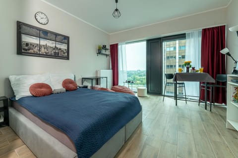Bed, Living room, Photo of the whole room, Seating area, Bedroom