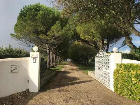 Property view