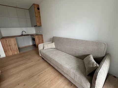 Apartament Apartment in Lithuania
