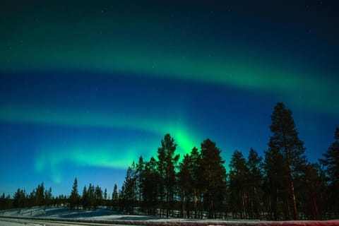 Natural landscape, Winter