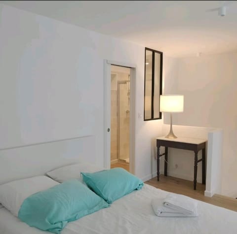 AU PIED DE LA MER AU COEUR DE LA STATION bel appartement contemporain Apartment in Bénodet