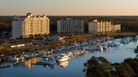 Property building, Nearby landmark, Day, Natural landscape, Activities, Bird's eye view, City view