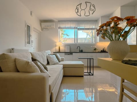 Living room, Seating area, Dining area, air conditioner