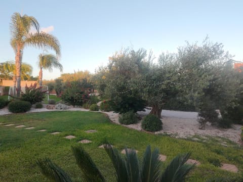 Natural landscape, Garden, Garden, Garden view
