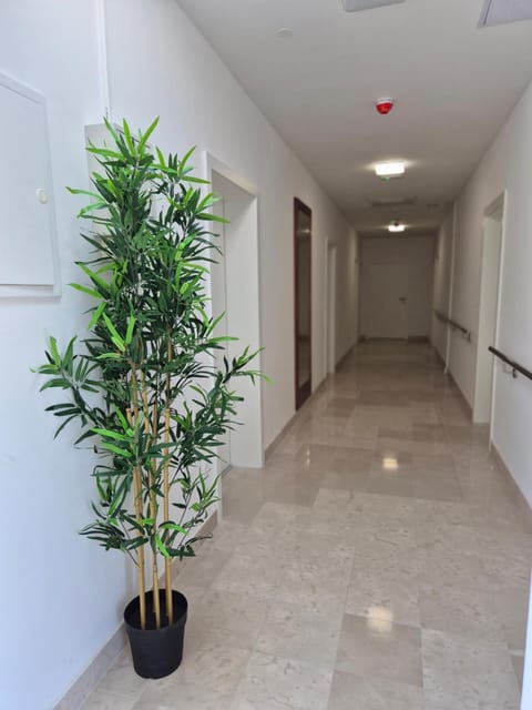 Hotel Jelena Hotel in Split-Dalmatia County