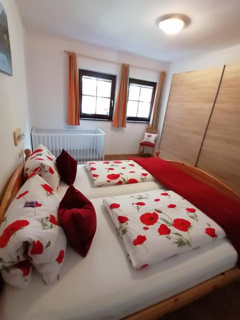 Gondelblick Apartment in Alpbach