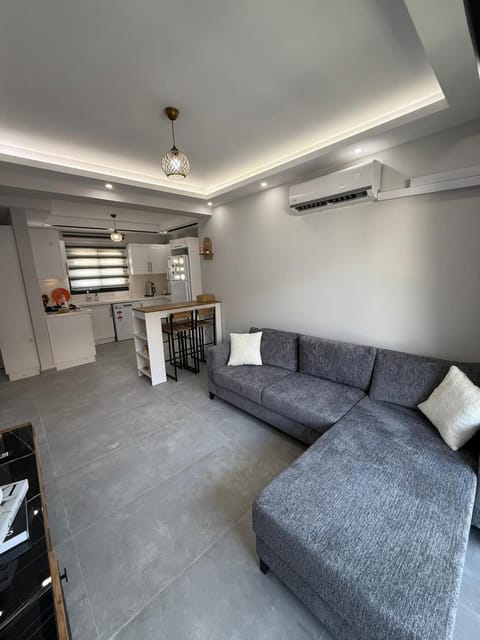 Kitchen or kitchenette, Living room, Seating area, Dining area, air conditioner