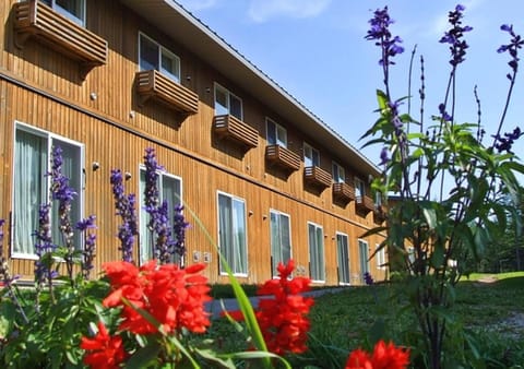 Property building, Off site, Garden, Area and facilities, Inner courtyard view