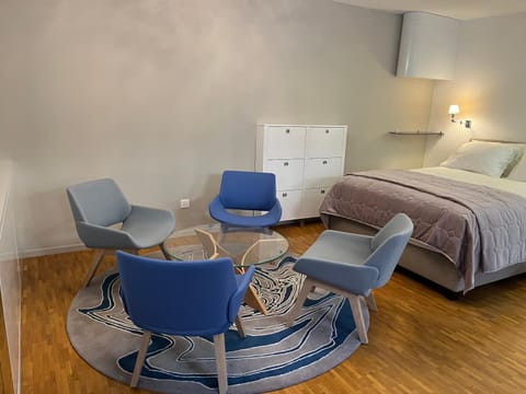 Central Charm Apartment, Geneva City Center Apartment in Geneva