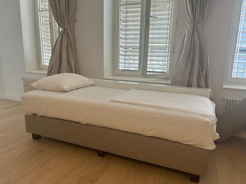 Central Charm Apartment, Geneva City Center Apartment in Geneva