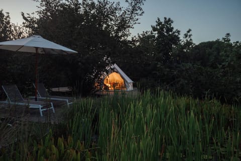 Natural landscape, Garden view, Sunset