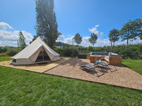 Garden, Garden view, sunbed
