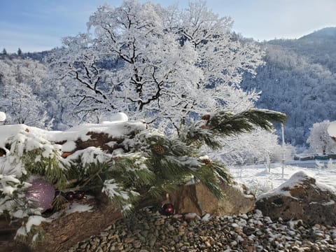 Natural landscape