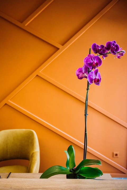 Artelo - Inspired Stay Hotel in Bitola