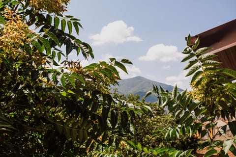 Artelo - Inspired Stay Hotel in Bitola