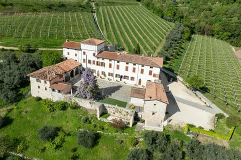 Property building, Natural landscape, Bird's eye view, Garden, Garden view, Landmark view