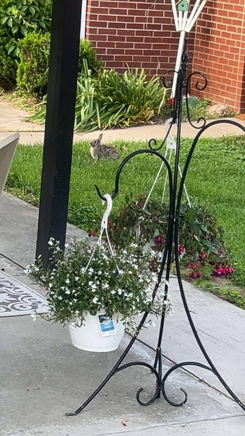 Sonnys place House in Indiana