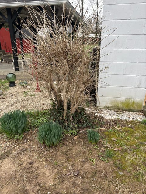 Sonnys place House in Indiana