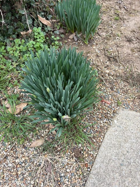 Sonnys place House in Indiana