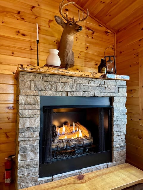 The Tree House- Morganton GA House in Morganton