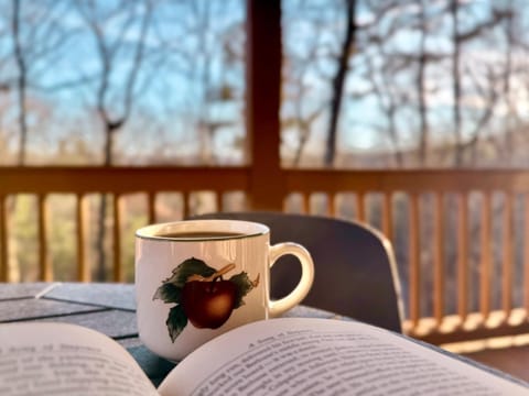 The Tree House- Morganton GA House in Morganton