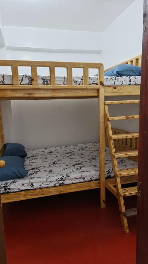 Bed, Photo of the whole room, Bedroom, bunk bed