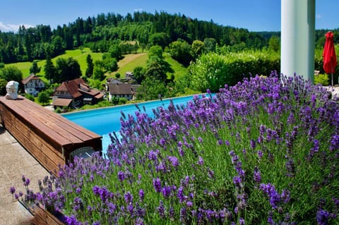Natural landscape, Garden, Garden view, Pool view, Swimming pool