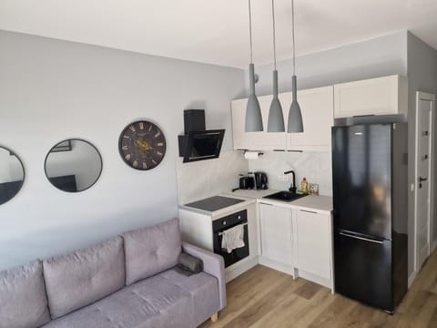 Apartament dworska Brzezno Apartment in Gdansk
