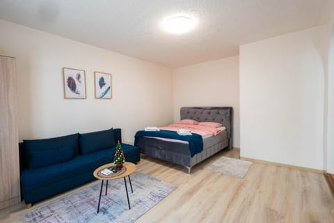 Bed, Living room, Photo of the whole room, Seating area, Bedroom