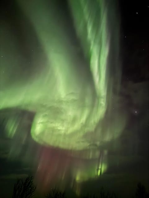 Sophiehuset- Cozy oceanview home House in Lofoten