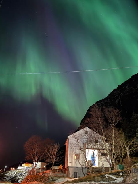 Sophiehuset- Cozy oceanview home House in Lofoten