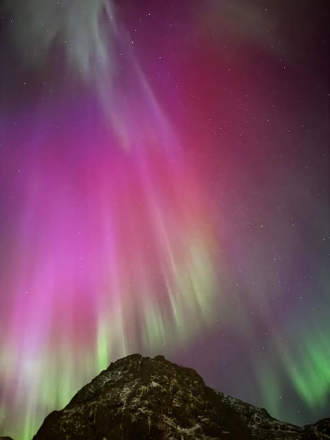 Sophiehuset- Cozy oceanview home House in Lofoten
