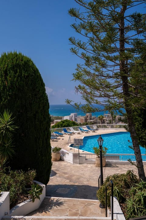 Natural landscape, Garden, Swimming pool, sunbed