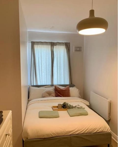 Central Dublin 1 Bedroom and Double Sofa Bed near Guinness Storehouse Apartment in Dublin