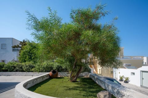 Spring, Day, Natural landscape