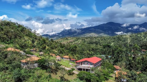 Natural landscape, Bird's eye view