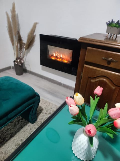 Apartment Sunny Apartment in Sarajevo