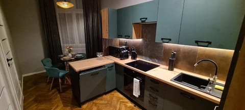 Kitchen or kitchenette, Dining area, oven, stove