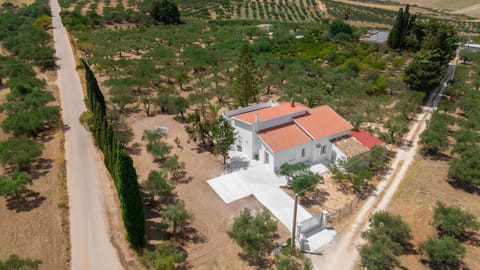 Property building, Natural landscape, Bird's eye view, Street view