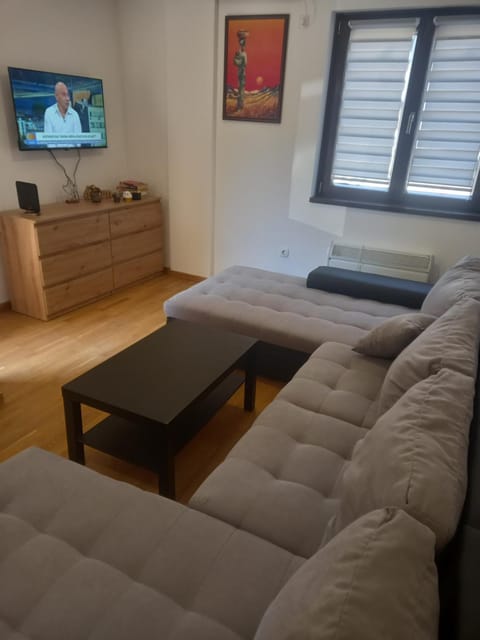 Zlatiborski konaci Apartman Petrovic Apartment in Zlatibor