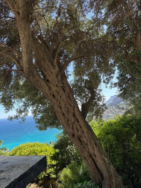 Top Location- Panoramic Villa with Montecarlo Views and Pool Villa in Roquebrune-Cap-Martin