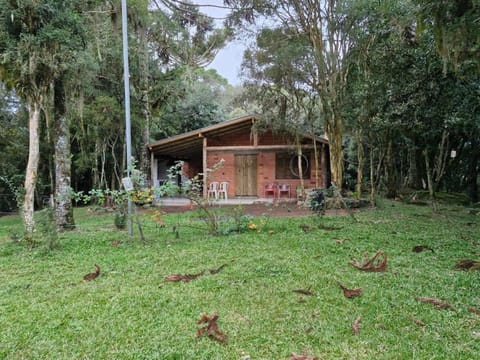 Property building, Natural landscape, Garden