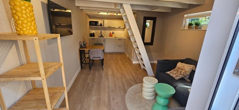 Kitchen or kitchenette, Living room, Seating area, Dining area, oven, stove