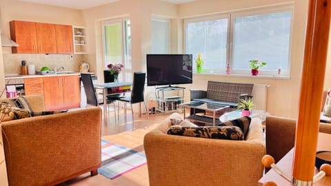 TV and multimedia, Kitchen or kitchenette, Living room, Seating area, Dining area, Evening entertainment, oven, stove