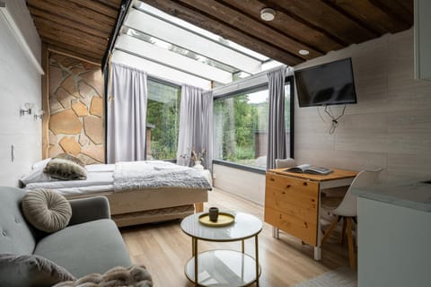 Bed, TV and multimedia, Living room, Photo of the whole room, Bedroom