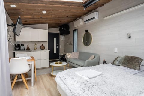 Bed, TV and multimedia, Kitchen or kitchenette, Living room, Photo of the whole room, Seating area, Dining area, Bedroom, air conditioner