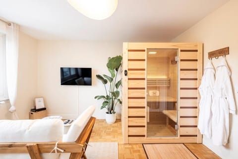 Sauna, TV and multimedia, heating