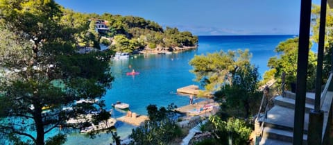 Apartmani Bah Basina Apartment in Vrboska